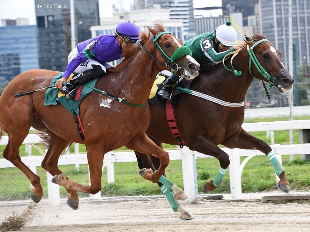 Foto: Estrada de Santos resiste a Nereu na Prova Especial Funcionários do Jockey Club