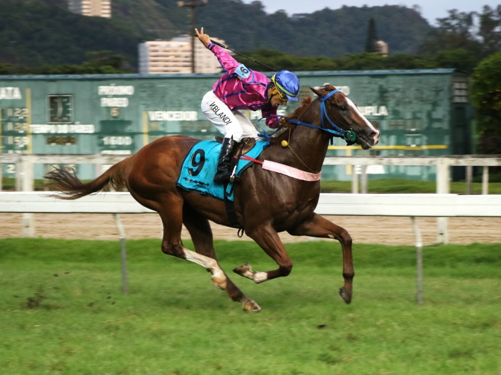 Foto: Cada dia correndo mais, Saladino levanta o GP Frederico Lundgren (G3)