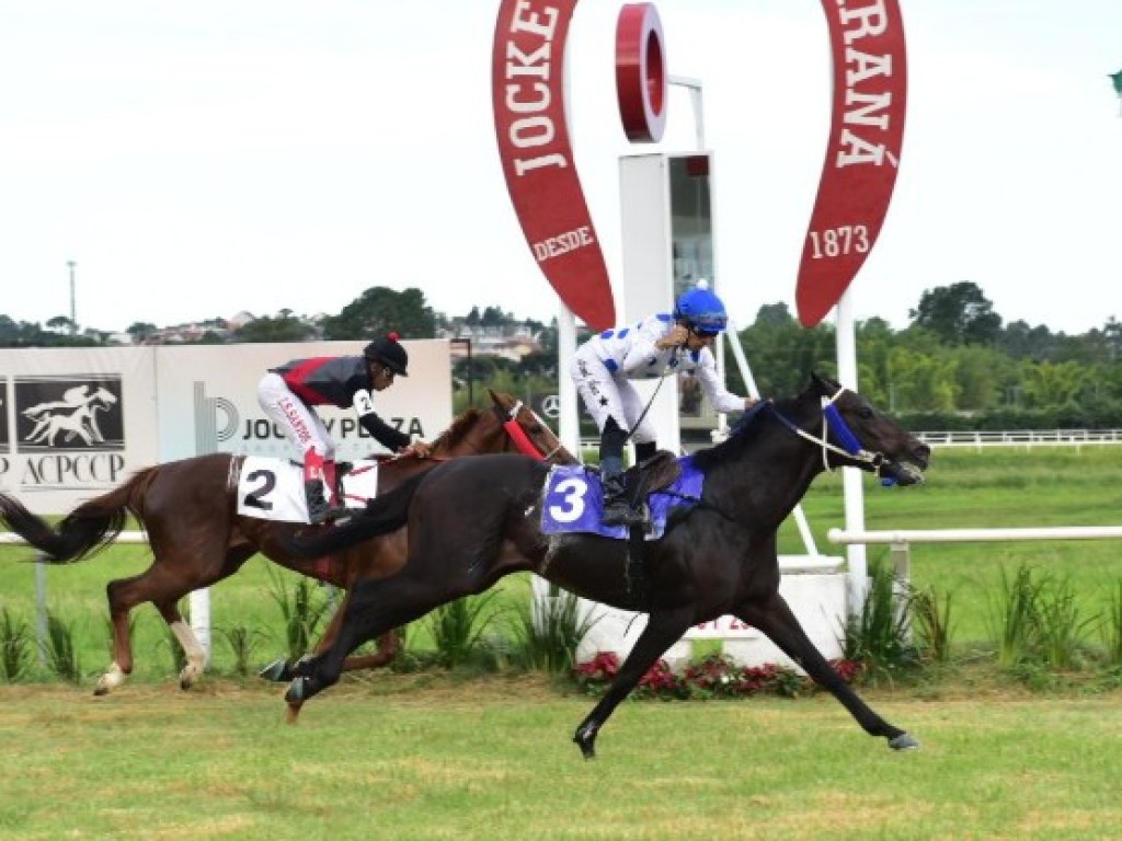 Foto: Willie Hobo bate seu segundo recorde, em Curitiba