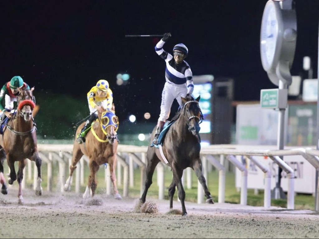 Foto: El Kodigo vence o "Ramirez"; Universal Horse forma a dupla e No Bien Ni Mal finaliza em quarto