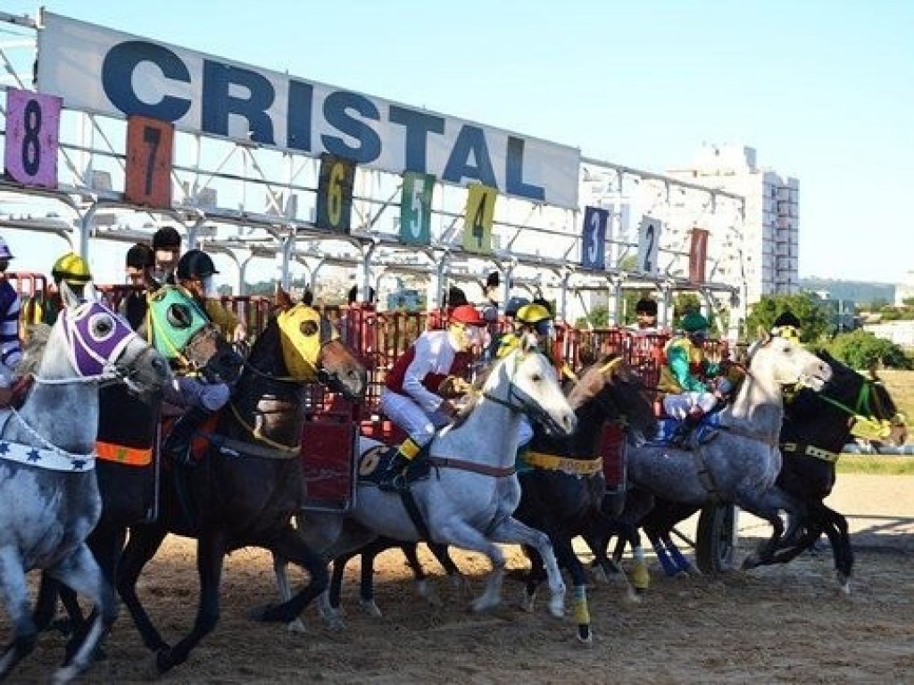 Foto: Grande Prêmio Turfe Gaúcho é atração da semana; confira inscritos e outras informações