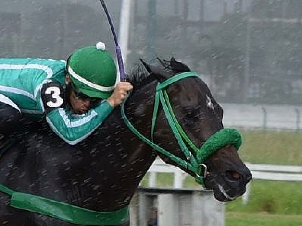 Foto: Cada dia correndo mais, Kruswarovski levanta o GP Piratininga (G3)