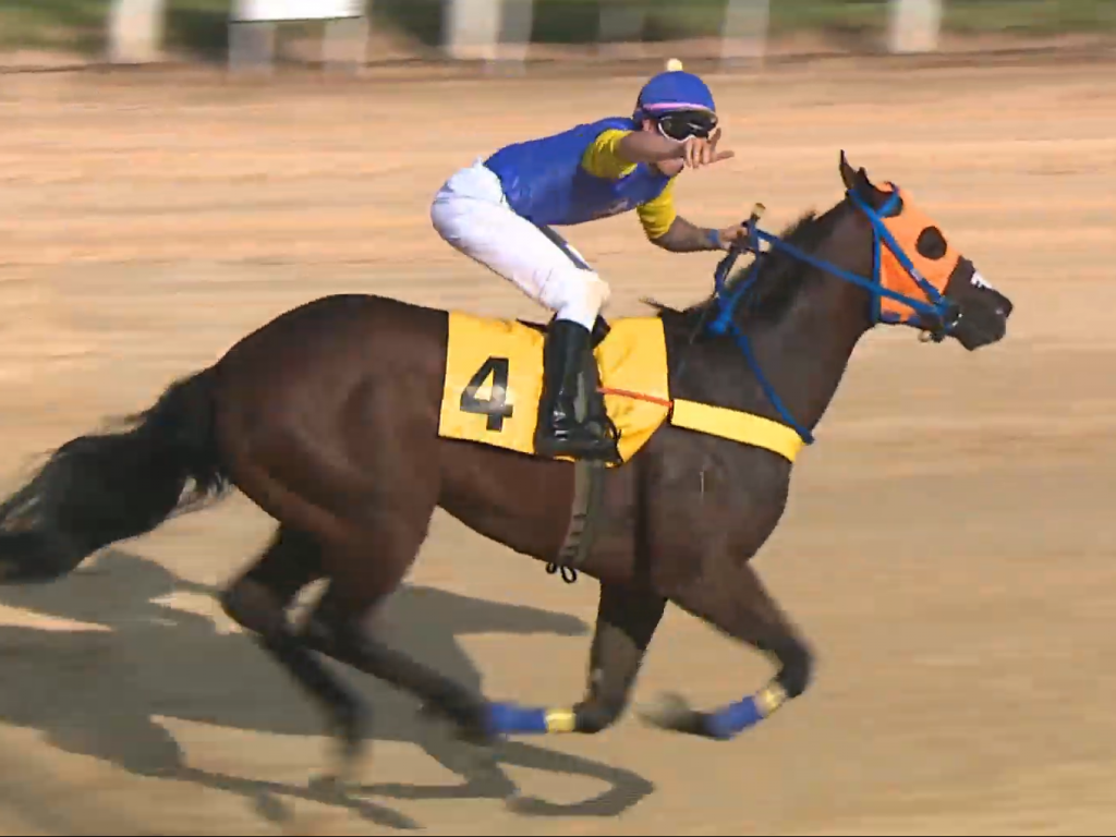 Foto: Goodcat é o campeão do 56º Grande Prêmio Turfe Gaúcho