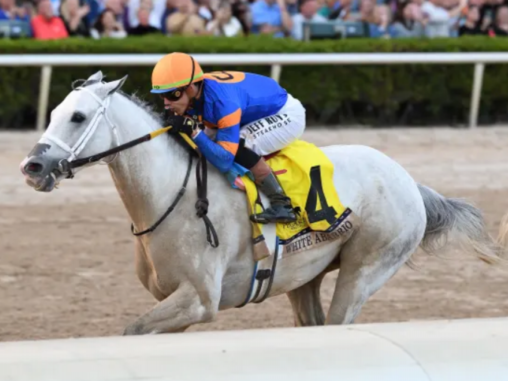 Foto: White Abarrio, a Pegasus e um futuro indefinido para Gulfstream Park