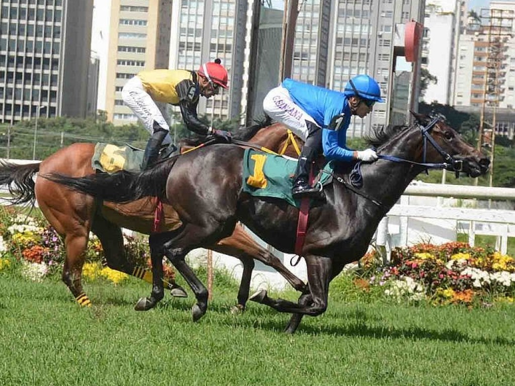 Foto: Joya Sureña garante vitória no Handicap Especial Emabruk