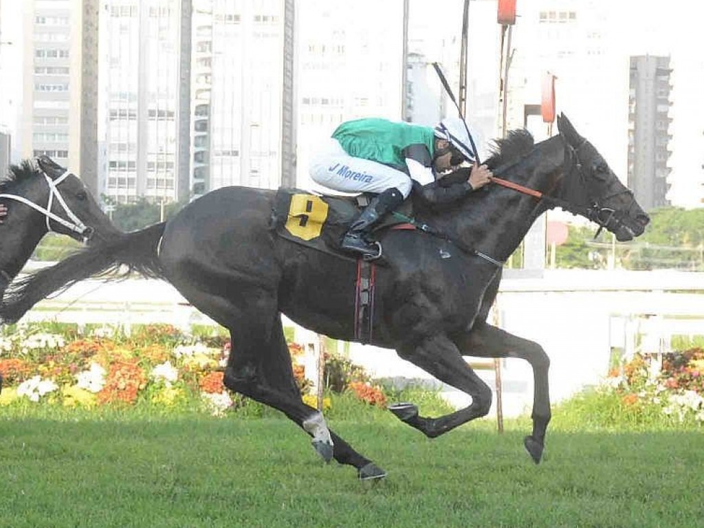 Foto: Legender confirma favoritismo no Handicap Especial Pitú da Guanabara