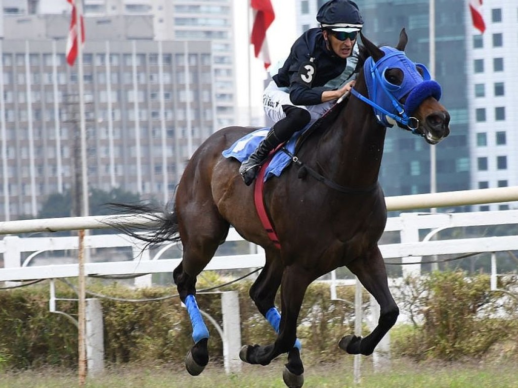 Foto: Palm Beach conquista o Handicap Especial Raymond Naufal