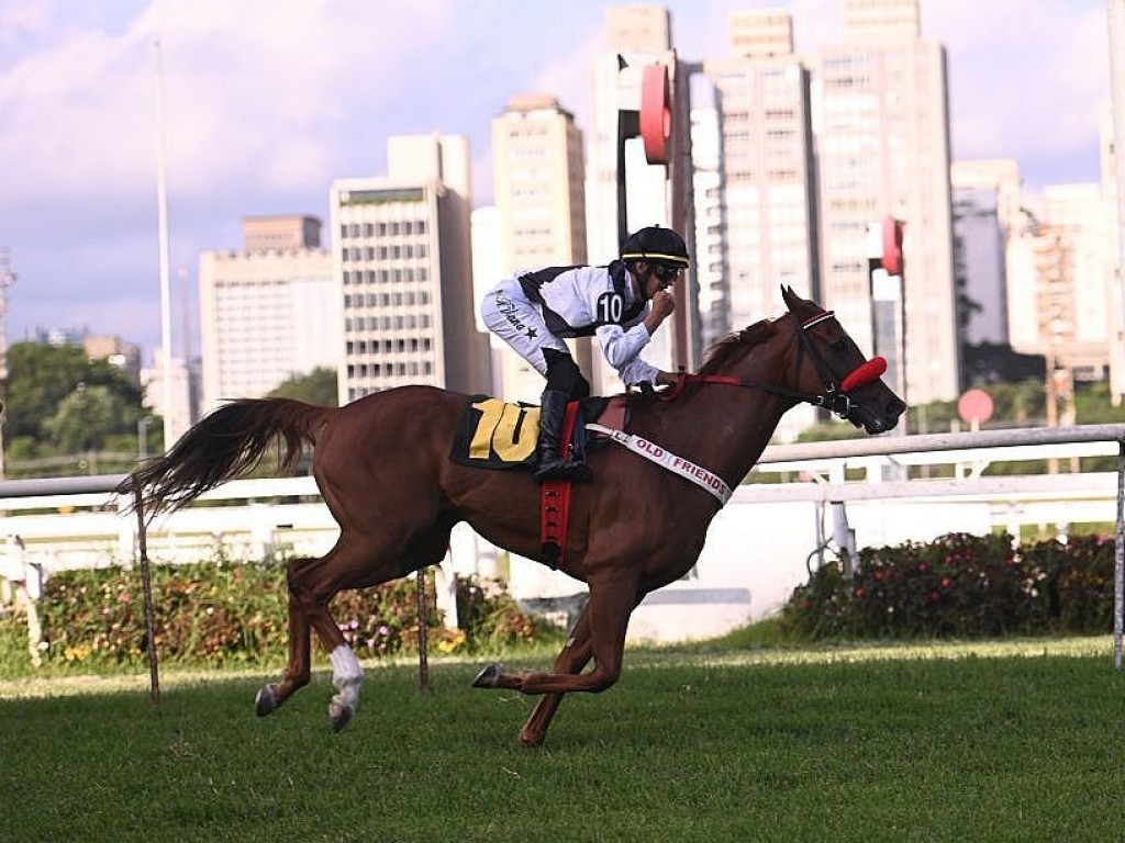 Foto: Flying Star brilha no Grande Prêmio Presidente Luiz Oliveira de Barros (G2)