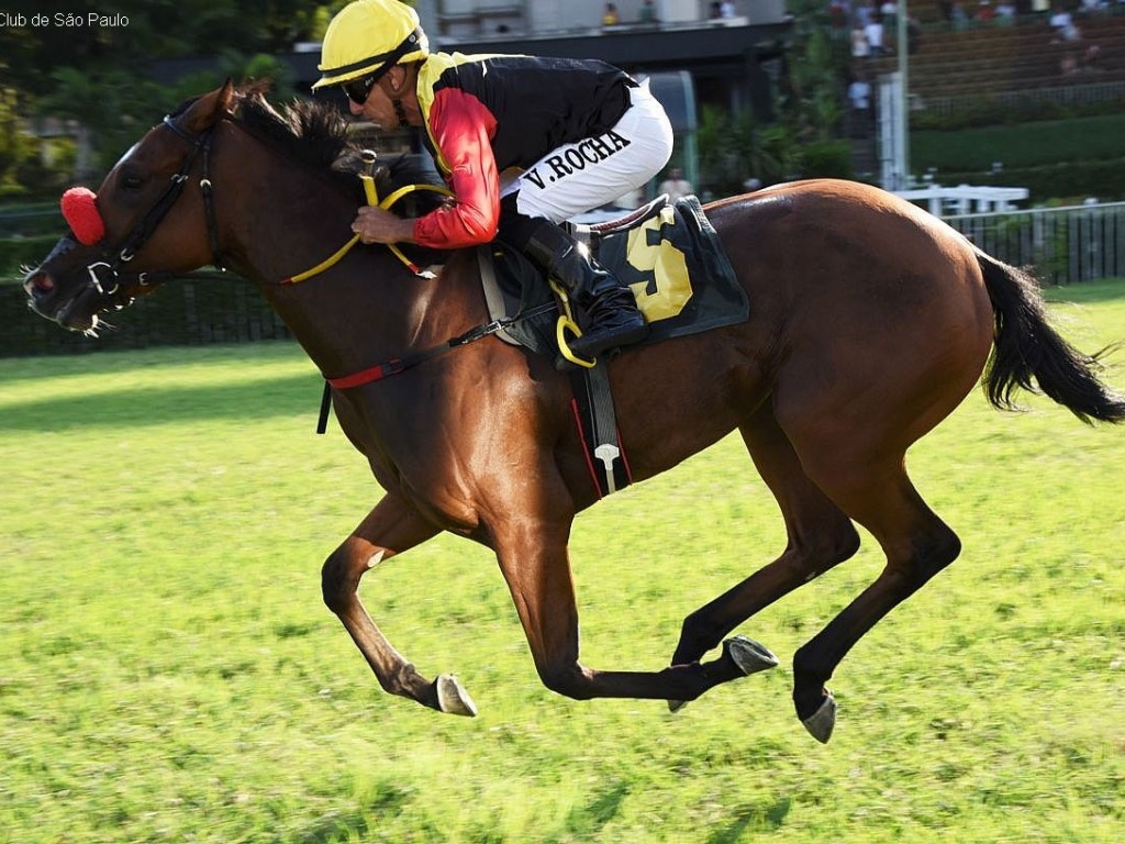 Foto: Perfect Plastic surpreende as favoritas no GP Pres. José Antônio Pamplona de Andrade (G3)