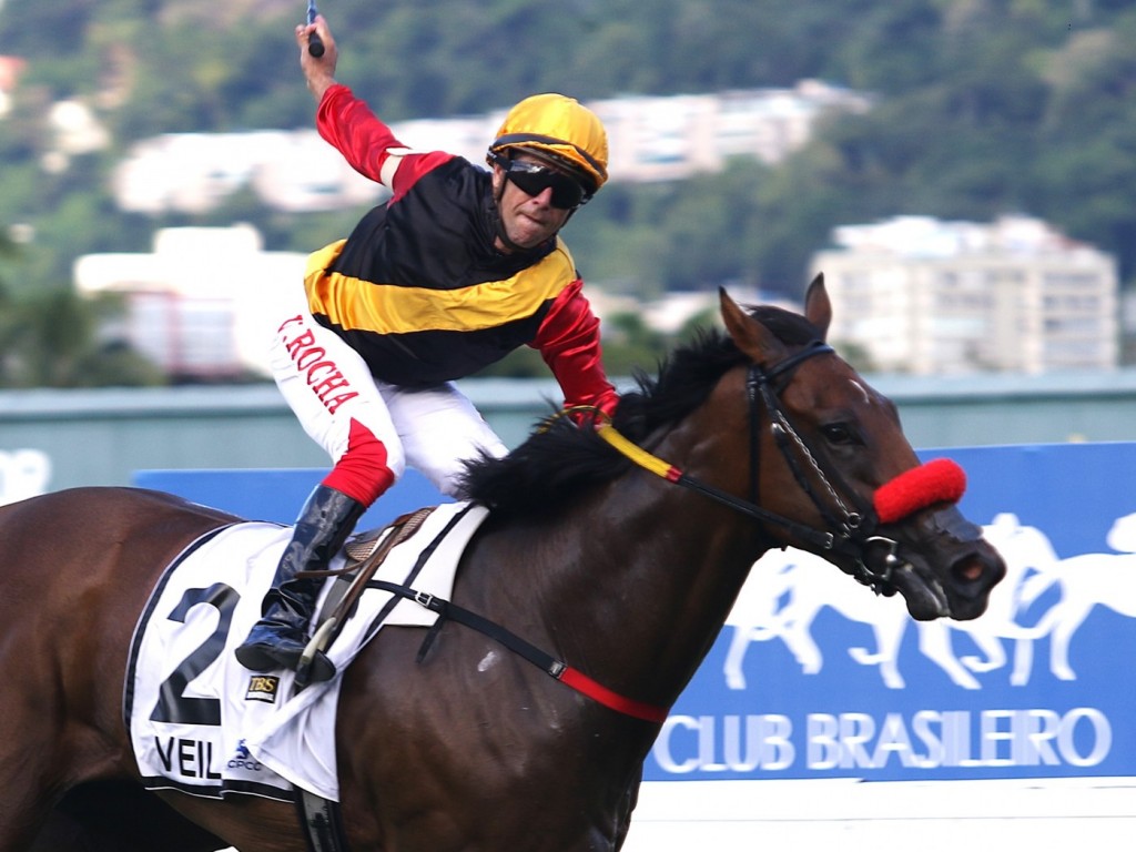 Foto: Veil reina, absoluta, na Copa Precocidade e Velocidade ABCPCC