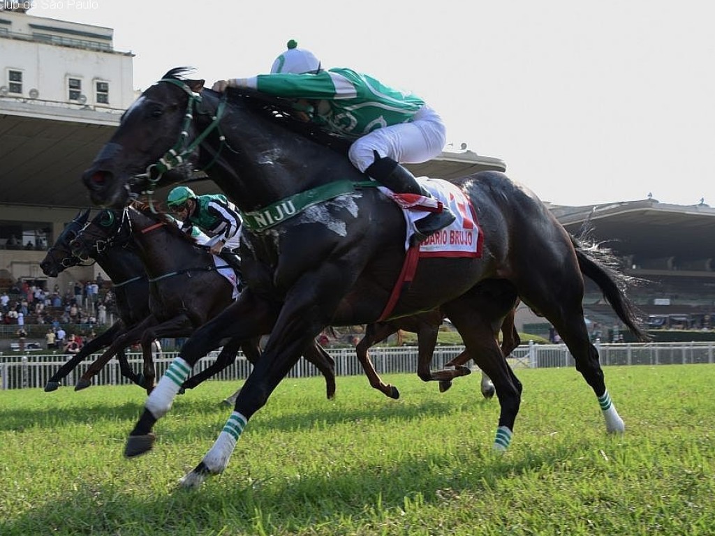 Foto: "A mil por hora": Lendario Brujo conquista o Grande Prêmio ABCPCC (G1)