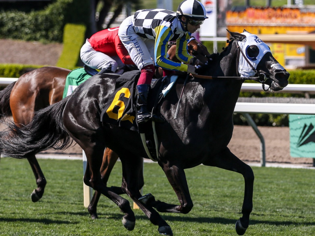 Foto: Estados Unidos: Omnipontet vence allowance, em Santa Anita