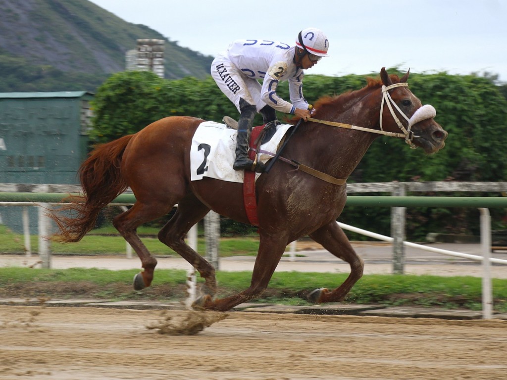 Foto: Rei da Brincadeira, o melhor no Clássico Eurico Solanes (L)