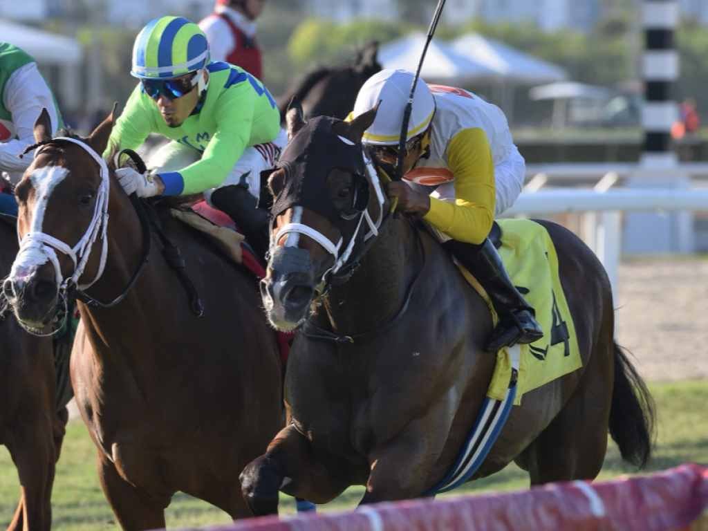 Foto: Estados Unidos: Lorenz vence mais um stakes, em Gulfstream Park