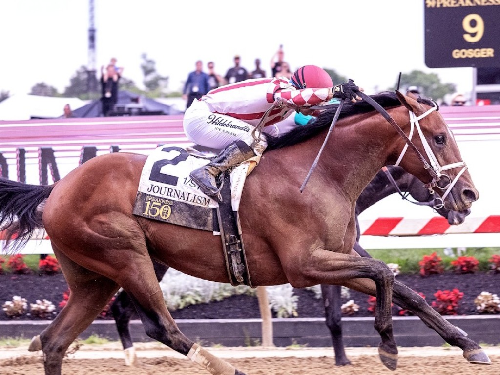 Foto: De Journalism a Afleet Alex: duas décadas e um mesmo páreo à prova dos incrédulos