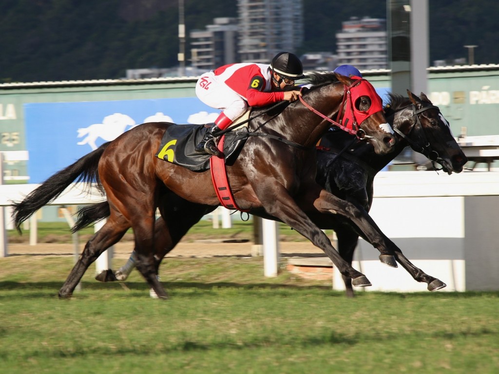 Foto: De olho no "tri" do Suckow, Mandrake conquista listed race