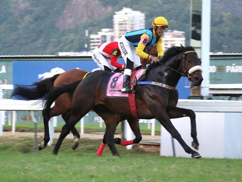 Foto: No teste para o GP Brasil, Valparaíso dá as cartas