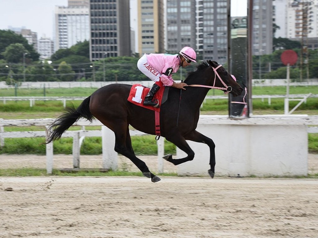 Foto: Índia Jojo vence o Handicap Especial Doutor José Eugenio de Rezende Barbosa