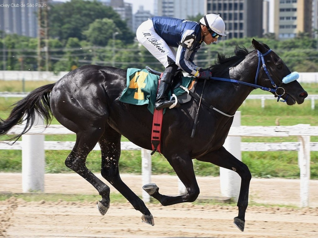 Foto: Us Bay confirma favoritismo no GP Antenor de Lara Campos (G3)