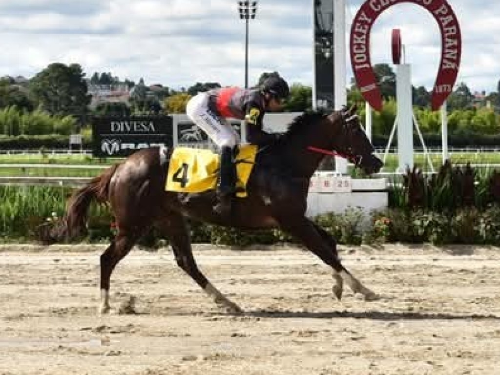 Foto: Sereia do Iguassu bate os machos no teste para a "Pegasus Sprint"