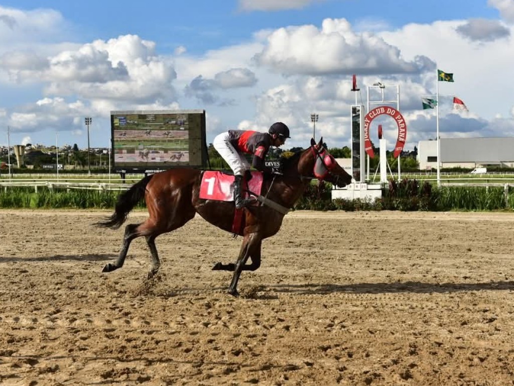 Foto: Go Camelot vence a Prova Especial Homero Pinhatari Oliva