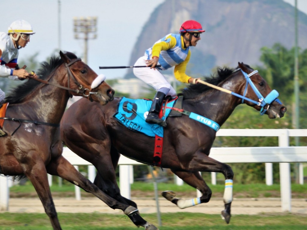 Foto: Tá Legal prevalece no GP Jockey Club Brasileiro (G1) - Haras Santa Rita da Serra