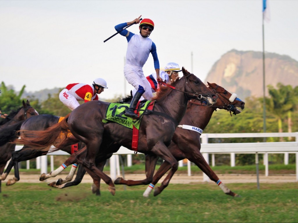 Foto: Dopodomani: atropelada fulminante no GP Presidente da República (G1) - Stud H&R