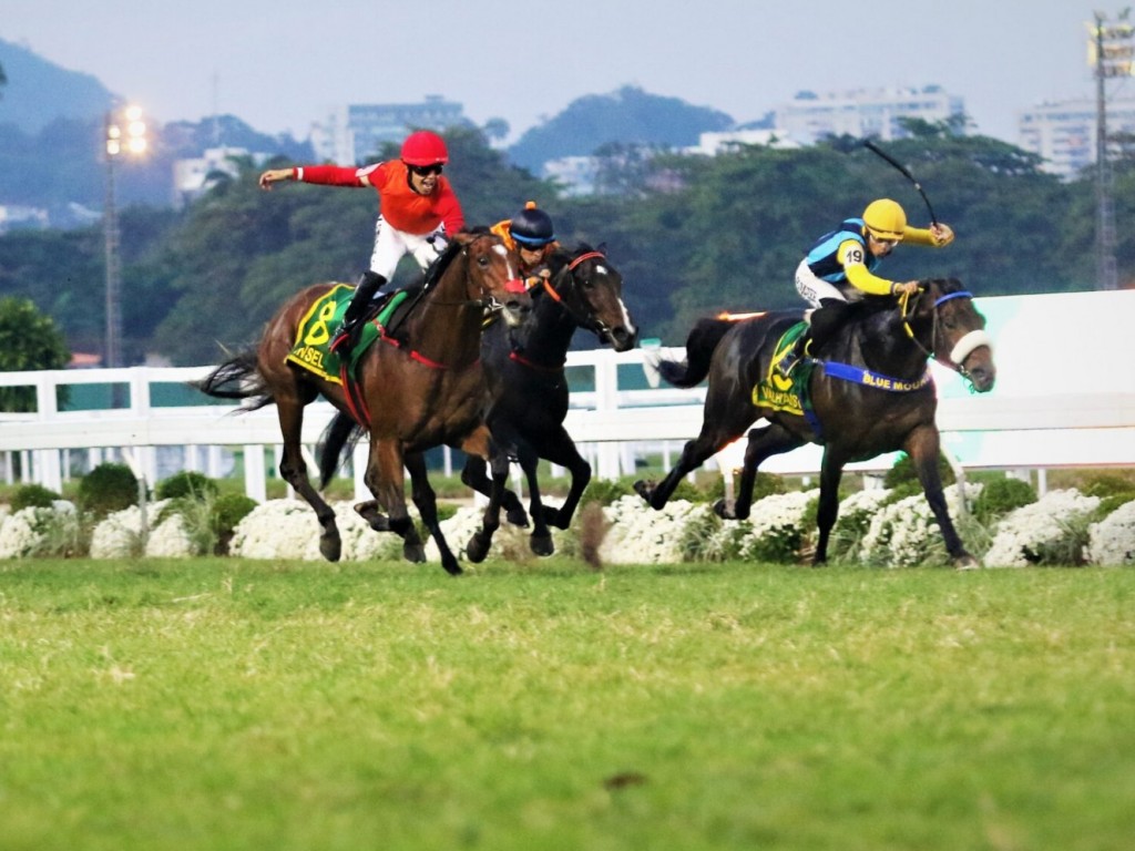 Foto: Em final dramático, Sinsel conquista o Grande Prêmio Brasil (G1) - Shopping Leblon