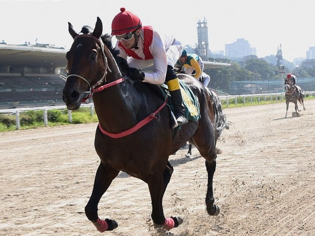 Foto: Com pule alta e próximo do recorde, Gold Tiger vence o Handicap Especial Hugo Sérgio Nieri
