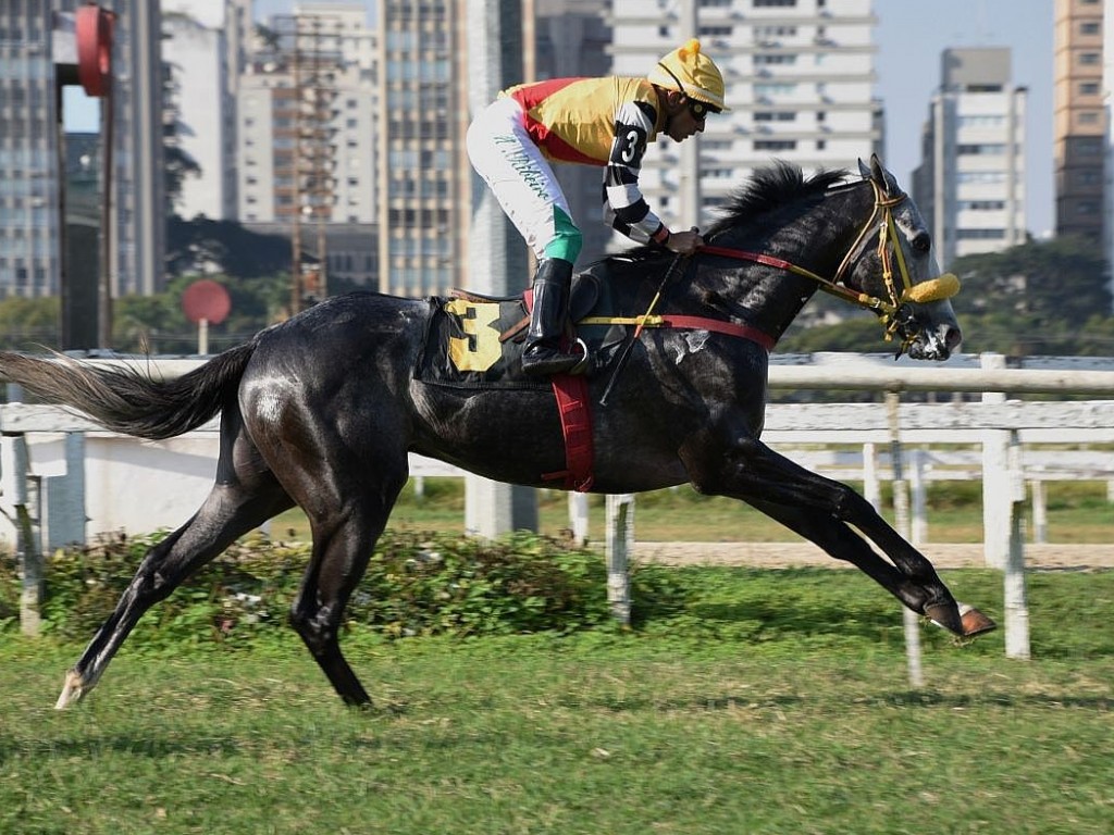 Foto: Tail Gate confirma favoritismo no Handicap Especial Max Perlman