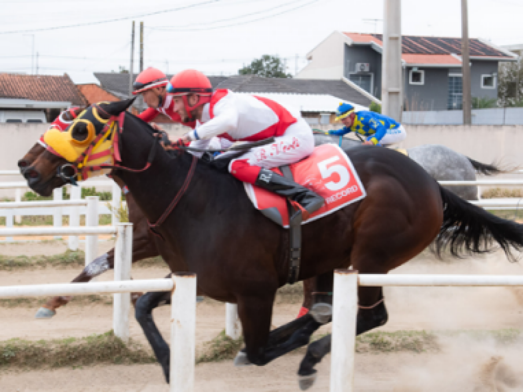 Foto: Genial Dollar e Spring Record: empate no GP Guido Irineu Pelanda
