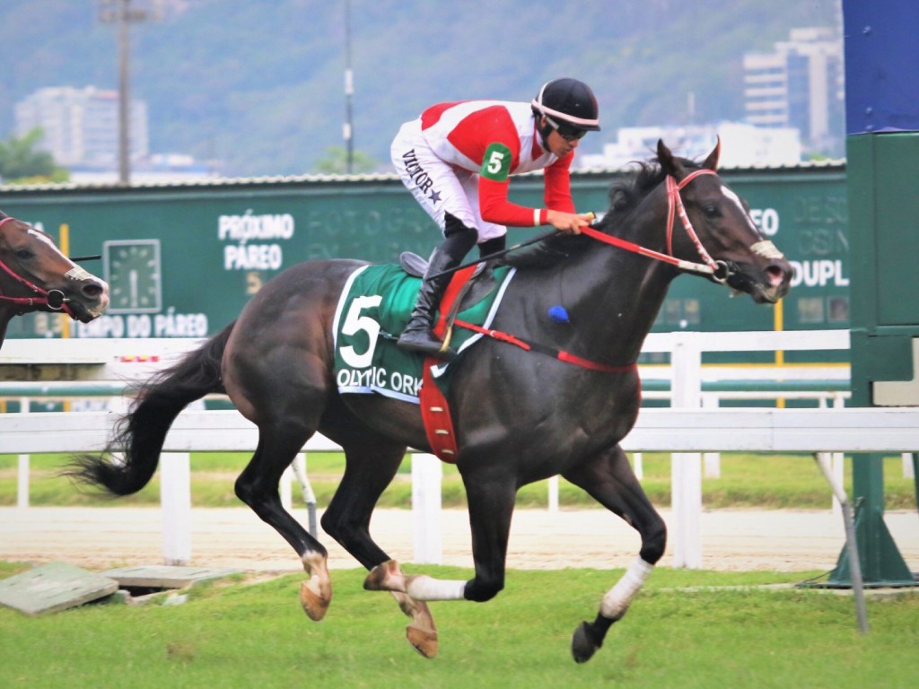 Foto: Olympic Orkut comanda dobrada do Haras Legacy em G2