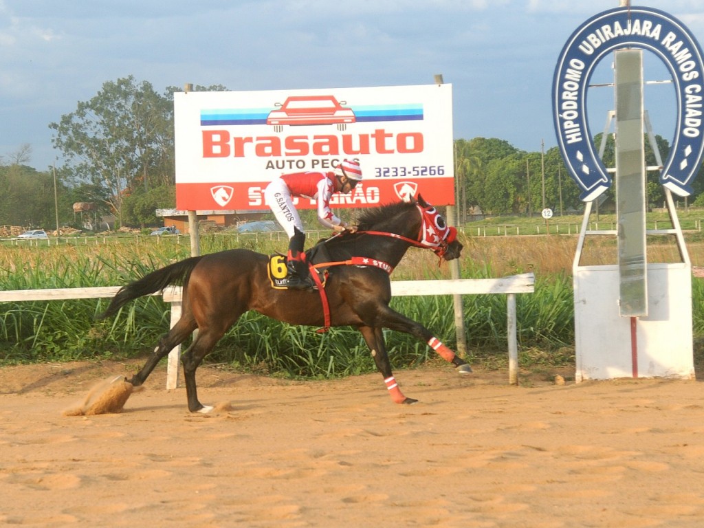 Foto: Quick Move vence o Grande Prêmio Goiânia