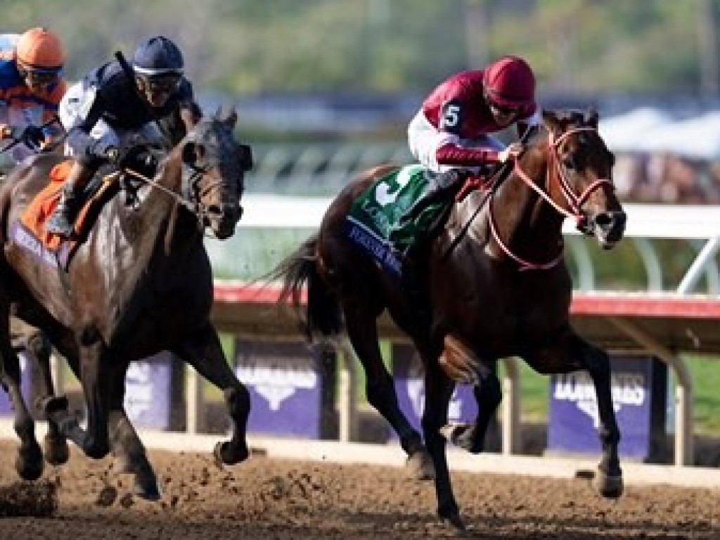 Foto: Forever Young faz história, para o Japão, na Breeders' Cup Classic (G1)