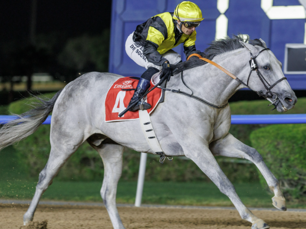 Foto: Na abertura do "Carnival", em Dubai, brasileiro Norato vence handicap