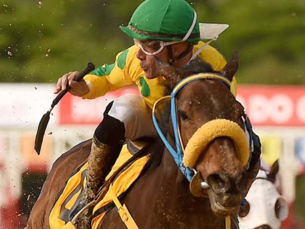 Foto: No embate das éguas, Punta Arenas vence o GP Luiz Fernando Cirne Lima - Agrária Nutrição Animal