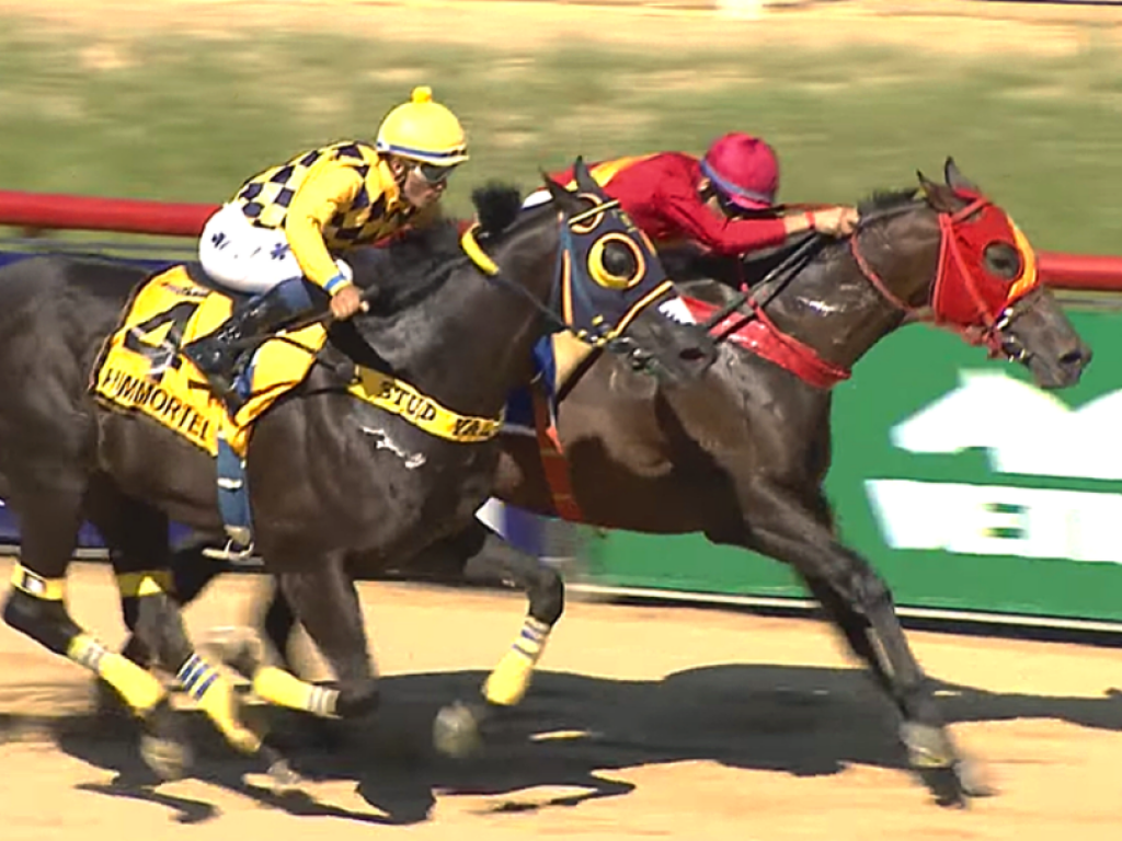 Foto: Osco resiste a Himmortel no Grande Prêmio ABCPCC - Haras Nijú