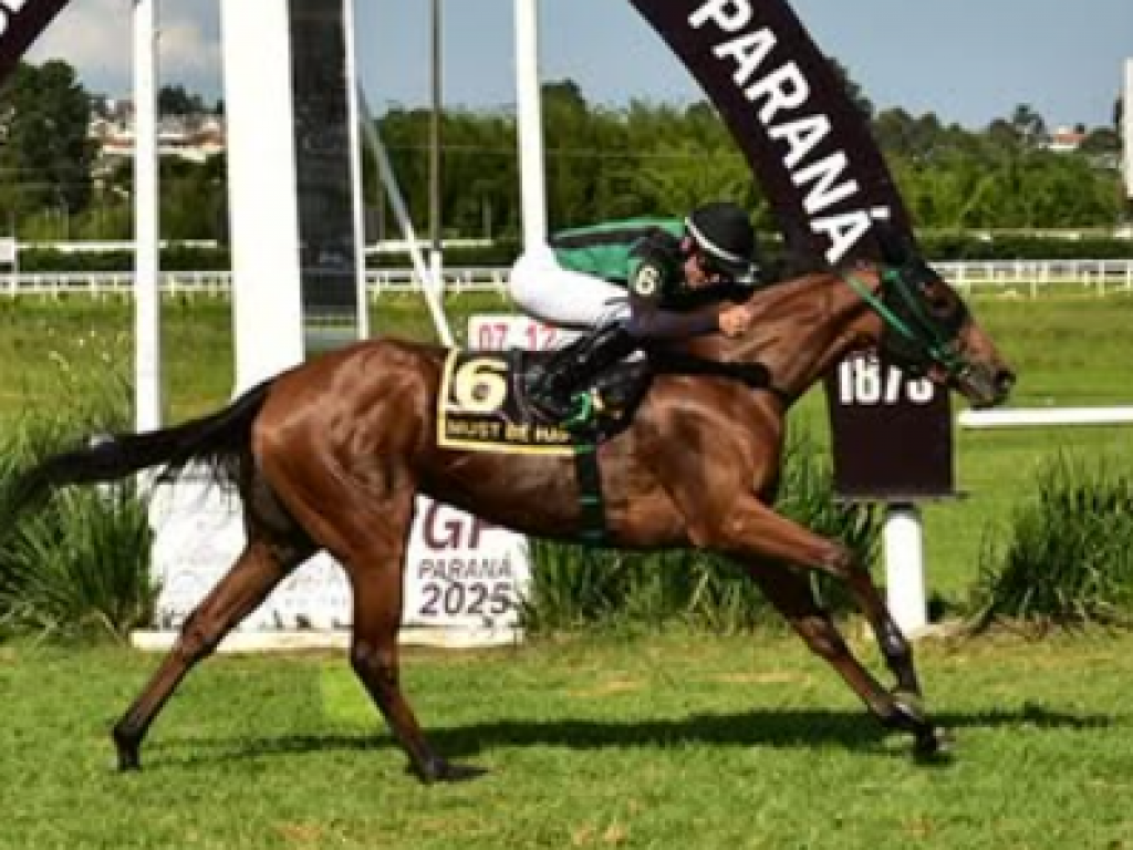 Foto: Must Be Happy supera Veil no Clássico Primavera (L)