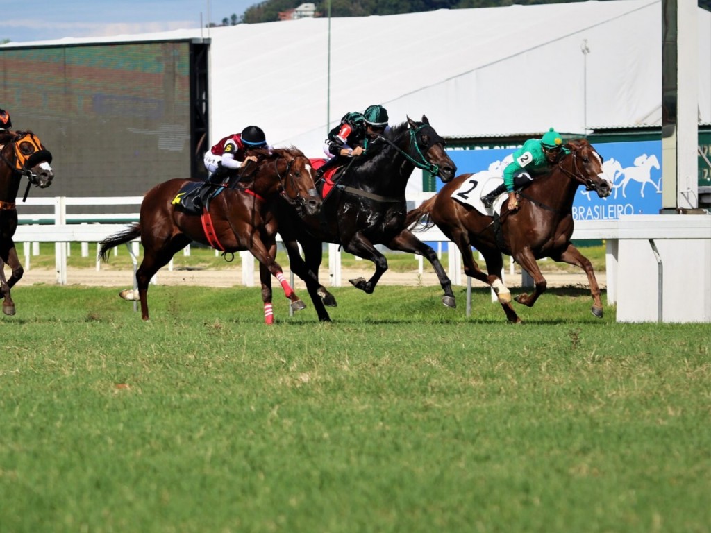Foto: Le Gonfalon supera os machos no GP Mariano Proc&oacute;pio (G3)