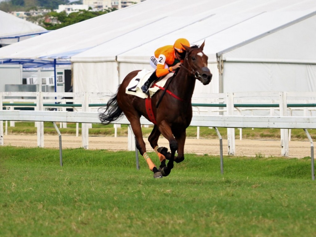 Foto: Only Believe prevalece sobre Odalisca na Prova Especial Tirolesa