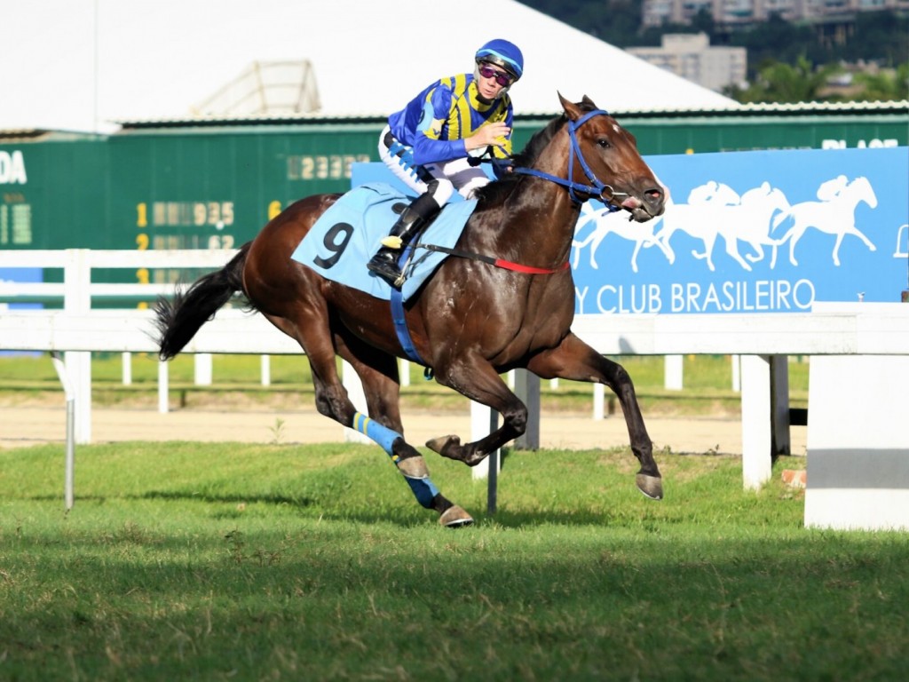 Foto: Open The Door surpreende os mais visados na Prova Especial Gualicho