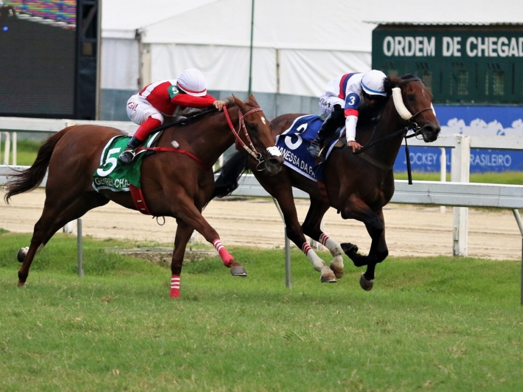 Foto: Vanessa da Pata larga e acaba no Grande Prêmio Oswaldo Aranha (G2)
