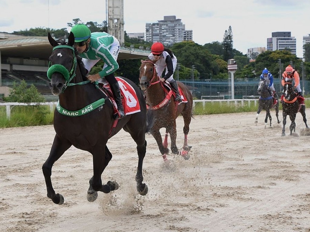 Foto: Loyalty prevalece no Grande Pr&ecirc;mio Piratininga (G3)