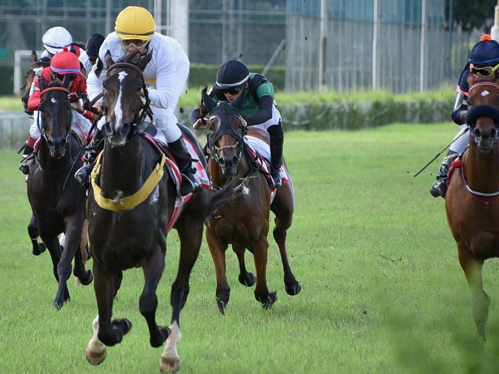 Foto: No GP Presidente Hernani Azevedo Silva (G2), melhor para La Ilusi&oacute;n