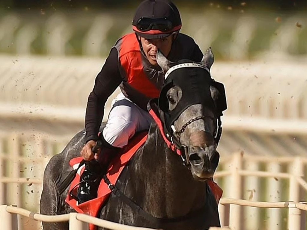 Foto: Twist do Iguassu confirma favoritismo e conquista o Grande Pr&ecirc;mio Turfe Ga&uacute;cho