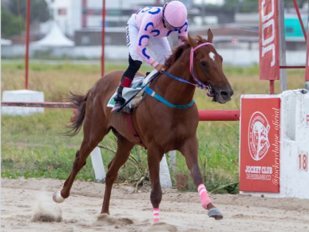 Foto: Recife: Olimac vence, em recorde, a vers&atilde;o inaugural do Grande Pr&ecirc;mio Mossor&oacute;