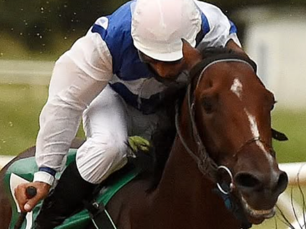 Foto: Pra Ser Feliz desponta como l&iacute;der, entre os machos, no Cristal
