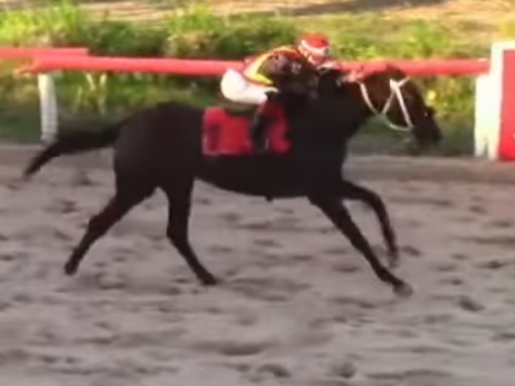 Foto: Recife: em recorde, Castro Fidel vence o GP Arivaldo Santana