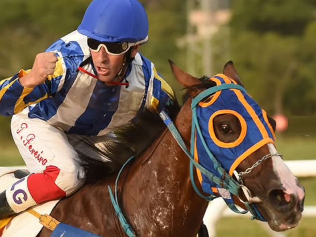 Foto: Yes Dream conquista primeira vit&oacute;ria, diretamente, no Cl&aacute;ssico Armando F. G. Hofmeister