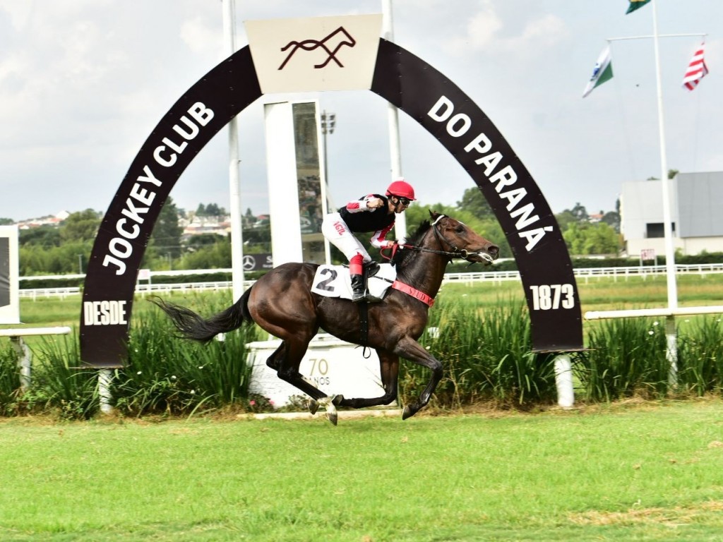 Foto: Que Emo&ccedil;&atilde;o emplaca no Derby Paranaense, com direito a recorde